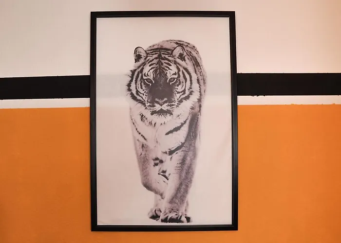 Daire Fullhouse - Halle - T28 - Tiger